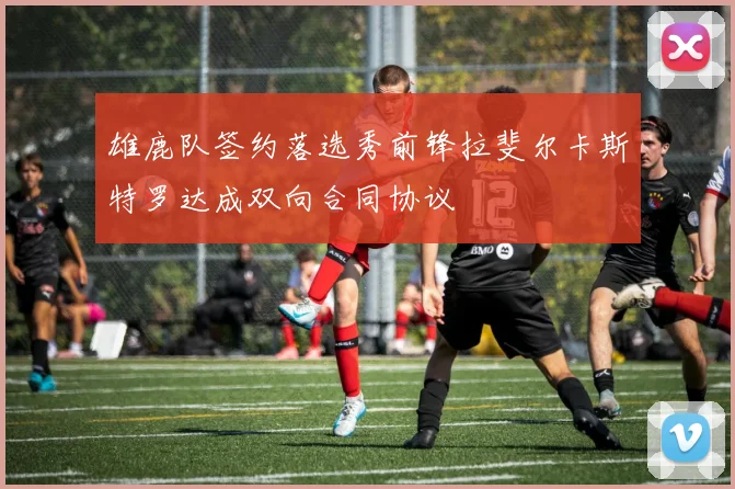 雄鹿队签约落选秀前锋拉斐尔卡斯特罗达成双向合同协议
